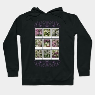 Assylum Photo Collection [full set bundle 2] Hoodie